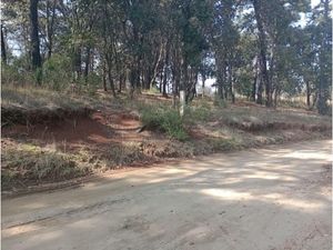 Terreno en Venta en Loma de Trojes Villa del Carbón