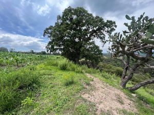 Terreno en Venta en San Luis Anáhuac (Toriles) Villa del Carbón