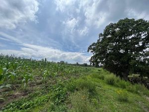 Terreno en Venta en San Luis Anáhuac (Toriles) Villa del Carbón