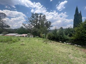 Terreno en Venta en La Bellota Villa del Carbón