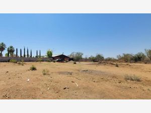 Terreno en Venta en Real del Alamito [Fraccionamiento Campestre] Hermosillo