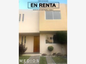 Casa en Renta en Camino Real Puebla