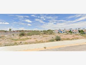 Terreno en Venta en San Antonio Gómez Palacio