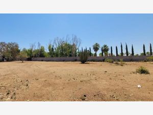 Terreno en Venta en Real del Alamito [Fraccionamiento Campestre] Hermosillo