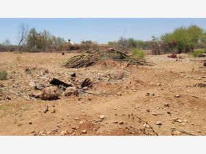 Terreno en Venta en Real del Alamito [Fraccionamiento Campestre] Hermosillo