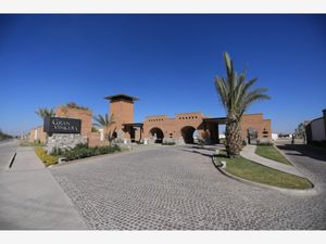 Terreno en Venta en La Vinícola Residencial Torreón