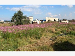 Terreno en Venta en San Miguel Totoltepec Toluca