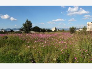 Terreno en Venta en San Miguel Totoltepec Toluca