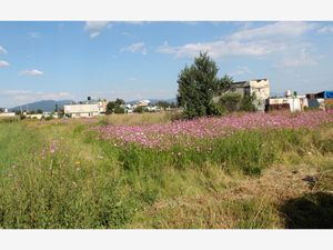 Terreno en Venta en San Miguel Totoltepec Toluca