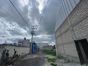 Bodega en Renta en El Espino Peralta Lerma