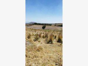 Terreno en Venta en Cacalomacán Centro Toluca