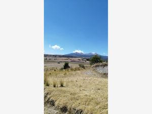 Terreno en Venta en Cacalomacán Centro Toluca