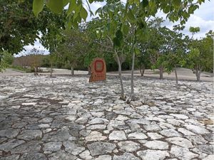 Terreno en Venta en Sierra Papacal Mérida