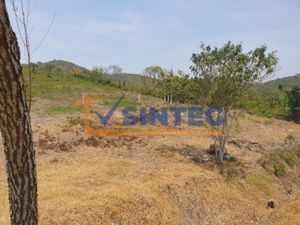 Terreno en Venta en Coatzintla Centro Coatzintla