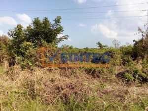 Terreno en Venta en Frijolillo Tuxpan