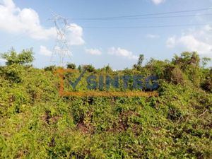 Terreno en Venta en Frijolillo Tuxpan