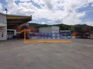 Bodega en Venta en La Victoria Kilómetro 47 Papantla