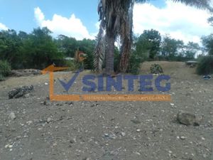 Terreno en Venta en Yanga Poza Rica de Hidalgo