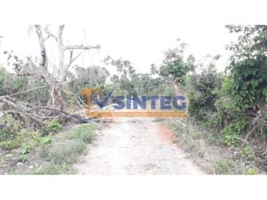 Terreno en Venta en Totomaxtle Papantla