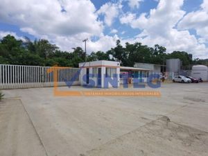 Bodega en Venta en La Victoria Kilómetro 47 Papantla