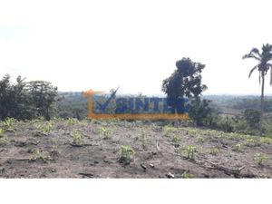 Terreno en Venta en Totomaxtle Papantla