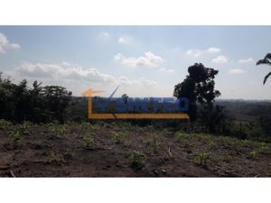 Terreno en Venta en Totomaxtle Papantla