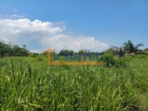 Terreno en Venta en Barra de Cazones Cazones de Herrera