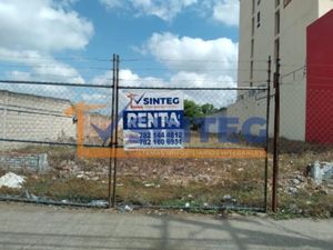 Terreno en Renta en Palma Sola Poza Rica de Hidalgo