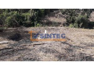 Terreno en Venta en Totomaxtle Papantla