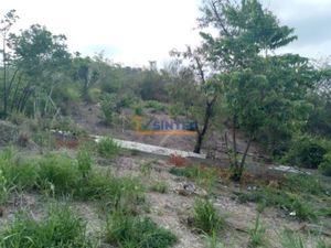 Terreno en Venta en Mecanicos de Piso Poza Rica de Hidalgo