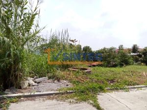 Terreno en Venta en Anahuac Poza Rica de Hidalgo