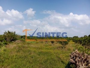 Terreno en Venta en Frijolillo Tuxpan