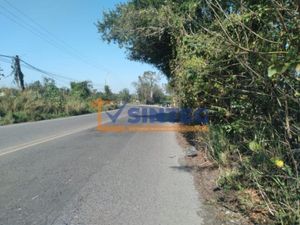 Terreno en Venta en La Victoria Kilómetro 47 Papantla