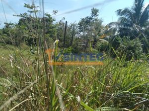 Terreno en Renta en La Mata Tuxpan