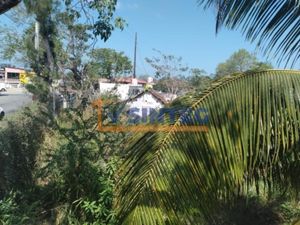 Terreno en Renta en La Mata Tuxpan