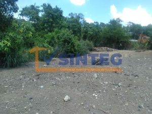 Terreno en Venta en Yanga Poza Rica de Hidalgo