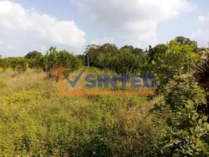 Terreno en Venta en Frijolillo Tuxpan