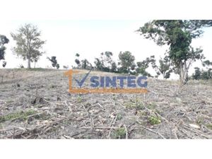 Terreno en Venta en Totomaxtle Papantla