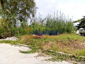 Terreno en Venta en Anahuac Poza Rica de Hidalgo