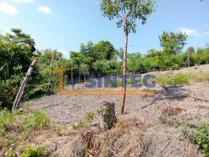 Terreno en Venta en Parcela 44 Poza Rica de Hidalgo