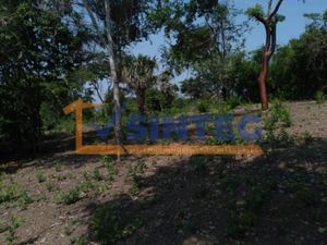 Terreno en Venta en Guadalupe Victoria Poza Rica de Hidalgo