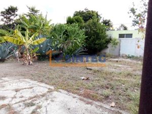 Terreno en Renta en Manuel Avila Camacho Poza Rica de Hidalgo