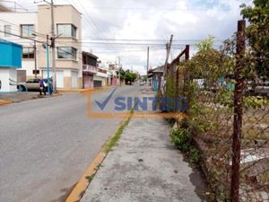 Terreno en Renta en Manuel Avila Camacho Poza Rica de Hidalgo