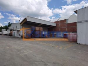 Bodega en Venta en La Victoria Kilómetro 47 Papantla