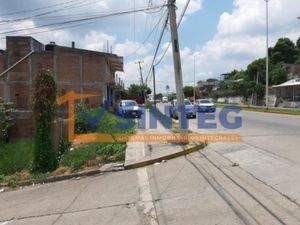 Terreno en Renta en Plan de Ayala Tihuatlán