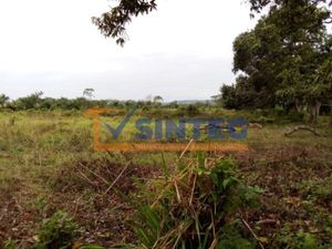 Terreno en Venta en La Victoria Kilómetro 47 Papantla