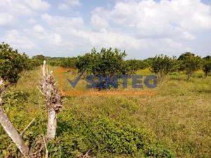 Terreno en Venta en Frijolillo Tuxpan