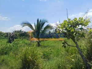 Terreno en Venta en Barra de Cazones Cazones de Herrera