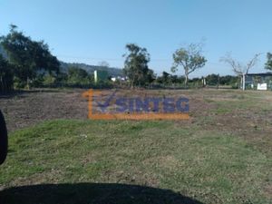 Terreno en Venta en La Victoria Kilómetro 47 Papantla