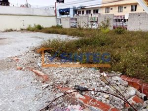 Terreno en Renta en Cazones Poza Rica de Hidalgo